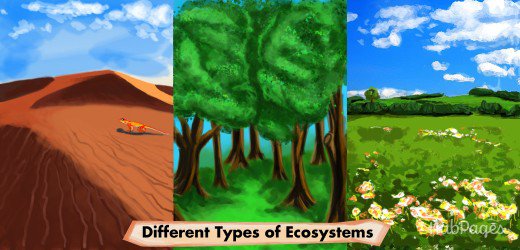 Ecosystem for Kids” – # LIONS PROM 2024